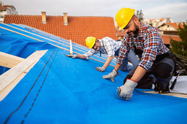 Professional Roofing Contractor in Strawberry Plains, TN